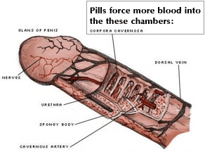 How Does Sex Works 80