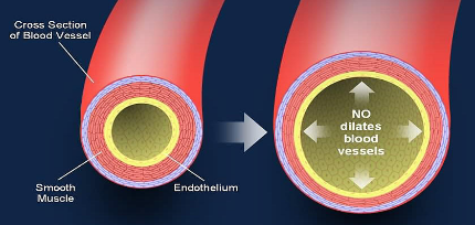 L-Arginine And Male Enhancement (UPDATED 2018): 3 Things To Know