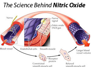 Nitrocut Review