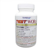 test worx review