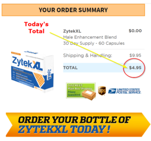 Zytek XL Free trial order image